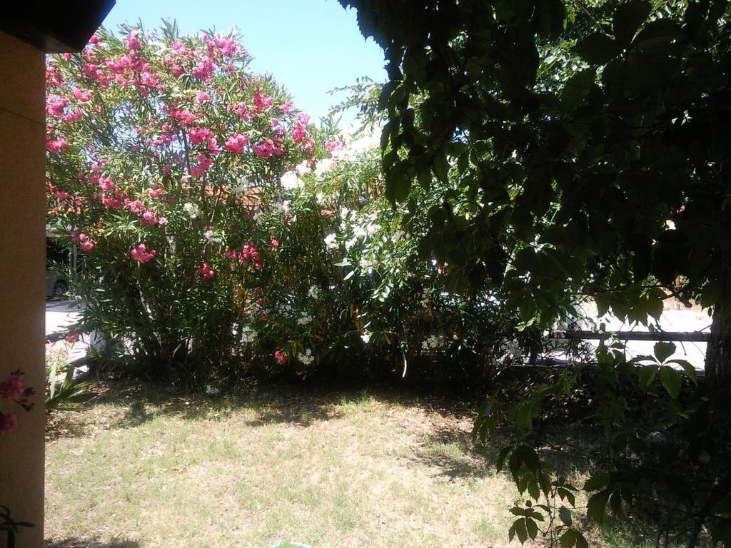 Monolocale San Teodoro Apartment Bilik gambar